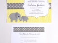 Baby Shower Invitation